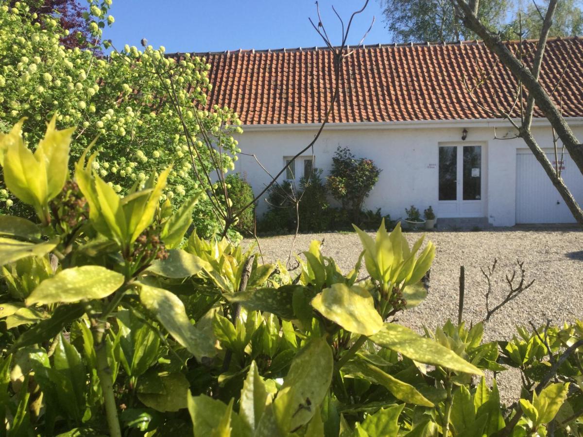 Gîtes Les Amis de l'Authie** Maintenay Extérieur photo